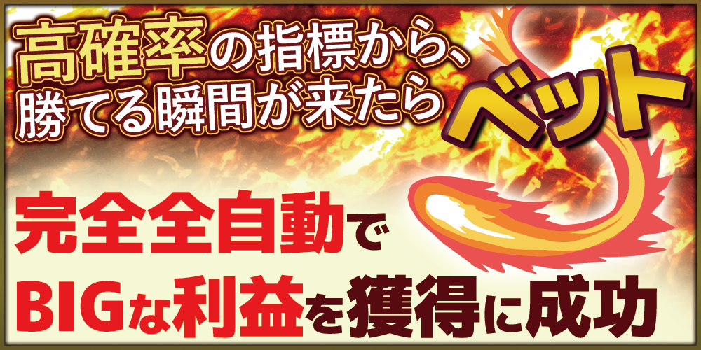 説明