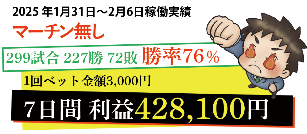 説明