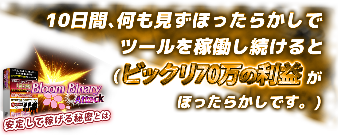 説明