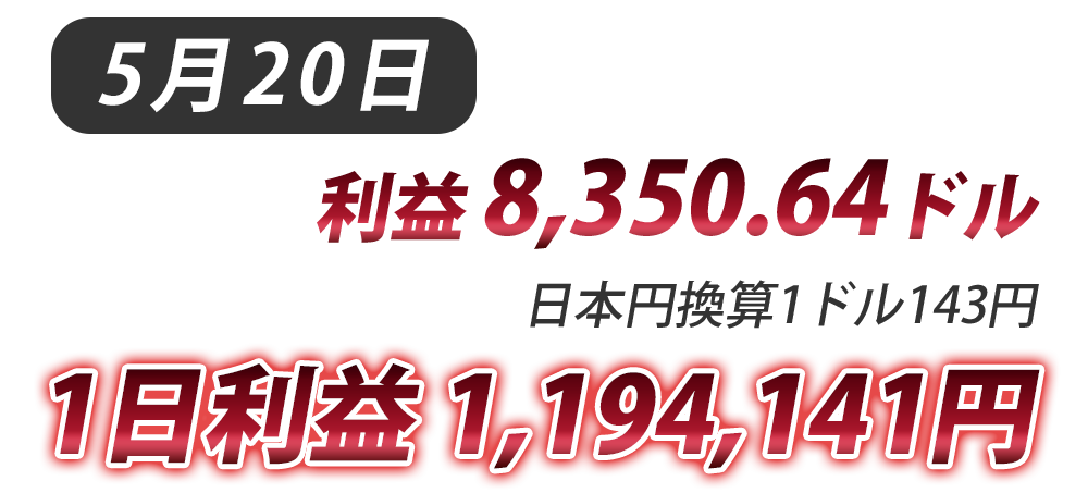 説明