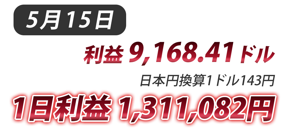 説明