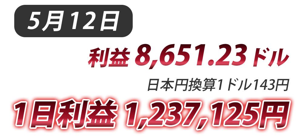 説明